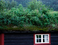 норвежские земляные крыши